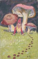 Dwarf between the mushrooms, ladybirds, Good luck! (EK)