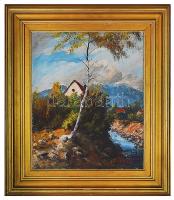 Podolyák Vilmos (1943): Felsőtótfalusi táj. Olaj, vászon, jelzett, keretben, 67x58cm