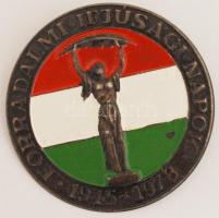 1978. "Forradalmi Ifjúsági Napok" kitűző T:2