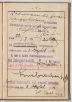 1909 Militärpass - Katonakönyv sok bejegyzéssel / Soldier-booklet