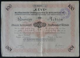 Budapest 1923. "KÉVE Mezőgazdasági Iparfejlesztési és Hitelintézet Rt." 100 részvénye egyenként 5000K-ról, összesen 50.000K, elővételi jog gyakorlásáról szóló pecséttel T:II-