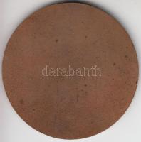 Berán Lajos (1882-1943) 1935. "Pásztor Miksa" Br emlékérem (50mm) T:2-