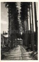 Borszékfürdő villas