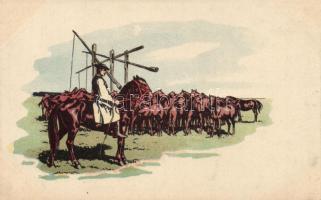 Hungarian folklore, Csikós a ménesével