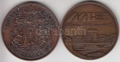 Fritz Mihály (1947-) 1997. "100 éves a villamosközlekedés Miskolcon" Br emlékérem (42,5mm)...