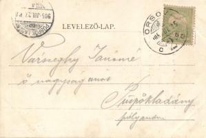 Bego Mustafa from Ada Kaleh, the saviour of Kossuth