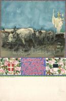 Ferrara military hospital postcard litho s: A. Salietti