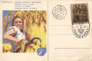Czechoslovakian agricultural advertisement, Fertil Kali, Léva visszatért So. Stpl, Csehszlovák mezőgazdasági hirdetés, Fertil Kali, 'Léva visszatért' So. Stpl
