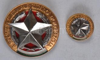 ~1960. "A Szövetkezeti Ipar Kiváló Dolgozója" kitüntetés miniatűrrel (44.79mm) T:1-