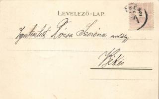 1899 Cat family litho (EB)