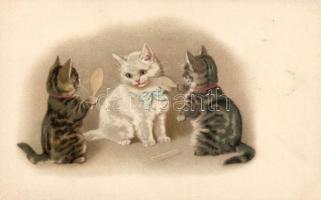 Cats litho