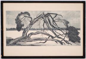 Nyári Lóránt (1928-1982): Vihar után. Akvatinta, rézkarc, papír, 6/100, üvegezett keretben, jelzett, 41x60cm