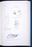 Charles Darwin: Az ember származása és az ivari kiválás II. Ford. Dr. Entz Géza, Dr. Fülöp Zsigmond ...