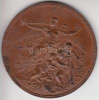 Knopp és Steiner Budapesten / Anton Scharff (1845-1903) 1913. "Az Országos Iparegyesülettől&quo...