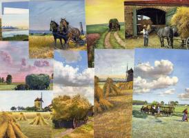 1910 A termés, 24 klf képeslap (2 sorozat) eredeti csomagolásban / Heimats-Grüße, Ernte 24 versch. Karten (2 Serien)in orig. Hülle