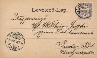 Székesfehérvár, floral