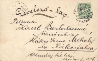 1898 Budapest, borona