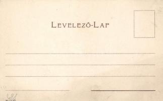 Budapest Erzsébet híd litho