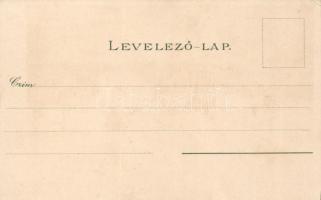 Budapest VIII. Múzeum körút litho s: Raoul Frank (EK)