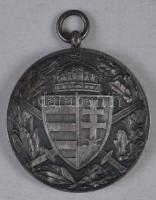 1929. Magyar Háborús Emlékérem kardokkal,sisakkal "Pro Deo et Patria" ezüstözött Br kitünt...