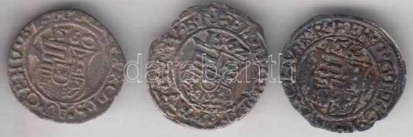 1560-63. Denár Ag "I. Ferdinánd" (3x) klf évszámokkal! T:vegyes
Huszár: 936., Unger II.: 7...