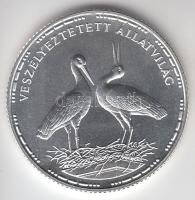 1992. 200Ft Ag "Veszélyeztetett állatvilág-gólya" T:BU