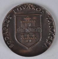 ~1980. "Budapesti Művészeti Hetek - Budapest Főváros Tanácsa" Br emlékérem dísztokban (70mm) T:1