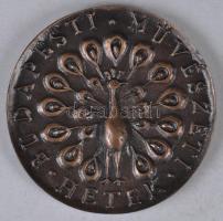 ~1980. "Budapesti Művészeti Hetek - Budapest Főváros Tanácsa" Br emlékérem dísztokban (70m...