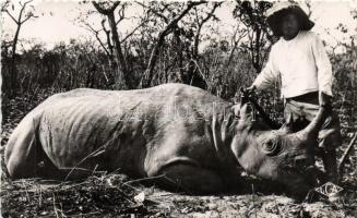 Cameroon, killed rhinoceros (EK)