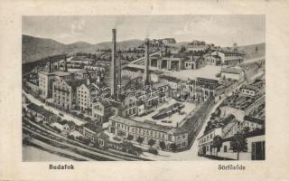 Budapest XXII. Budafok sörfőzde (wet damage)