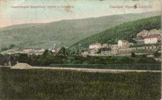 Nyustya, Main building of the factory of the terra alba with the colony (fa)