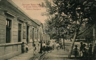 Temesrékas main street, shop