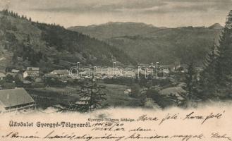 Gyergyótölgyes (b)