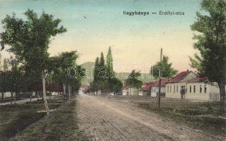 Nagybánya Erdélyi utca / street