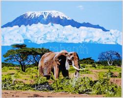 Dobi Lajos: Kilimandzsáró. Olaj, farost, jelzés nélkül, 40×50 cn
