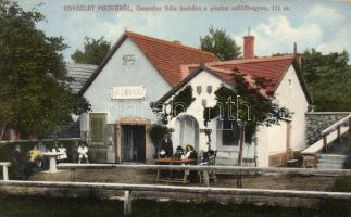 Lábatlan - Piszke, Gerenday Béla borháza a piszkei szőlőhegyen (Rb)