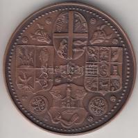 1985. "Szabolcs vezér-Nyíregyháza" Br emlékérem (42.5mm) T:2