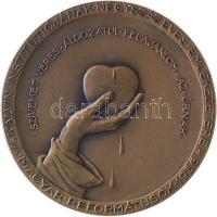 1936. "Magyar Reformátusok Kálvin Institúciójának 400 éves emlékezetére" Br emlékérem. Szi...