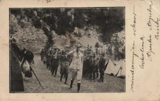 Hungarian scout march past (fa)