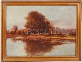 Jelzés nélkül: Tisza. Olaj,vászon, hátoldalán Szontágh Tibor felirat és egy árverési csarnokos címke, keretben 77×58 cm