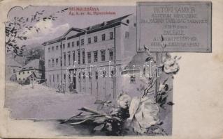 Selmecbánya lyceum, floral, s: Zsitvay (fl)