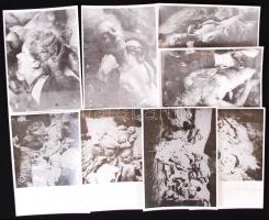 1945 áprilisa 11db fotó a Maros utcai kórházban 1945. január 12-én elkövetett nyilas tömeggyilkosság...