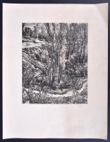 Gy. Szabó Béla (1905-1985): Ösvény. Fametszet, papír, apró gyűrődések, 29×23 cm