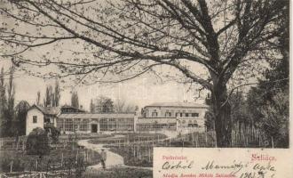Szliács park, garden