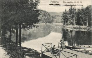 Pozsony Vödricvölgy, lake