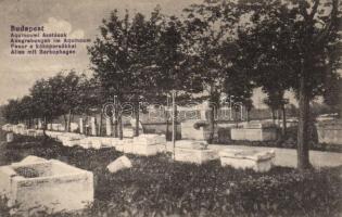 Budapest III. Aquincumi ásatások, fasor a kőkoporsókkal