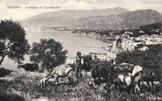 Sorrento Capodimonte