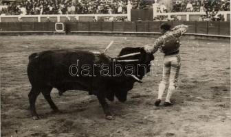 Matador, bullfighting photo