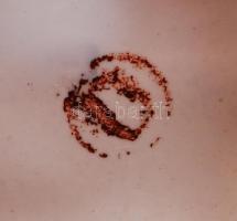 Hét darab kerámia-porcelán állatfigurás tétel, többség jelzett, hibátlan