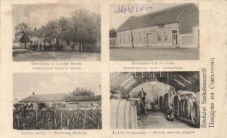 Nérasolymos (Szokolovác) wine cellar and vineyard of Lukics, notary home and office, town hall, school (wet damage)